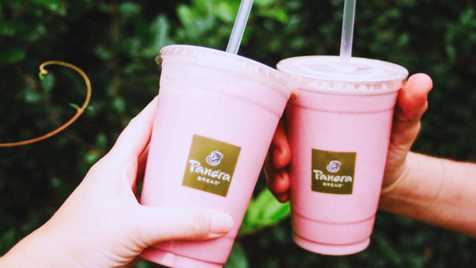 Panera Smoothie Menu With Prices And Calories